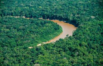 El reconocimiento de Manacacías como parque nacional permite proteger a la serranía como un regulador hídrico, pues en ella se encuentra la cuenca del río que lleva el mismo nombre. FOTO: Cortesía Rodrigo Durán Bahamón, Parques Nacionales
