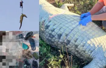 Tras la necropsia, las autoridades avanzan en el análisis de ADN para identificar a las víctimas. Foto: tomada de X