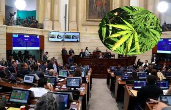 La plenaria del Senado hundió en la noche de este martes la posibilidad de regular el uso de cannabis adulto. Foto Cortesía