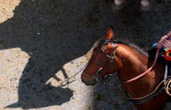 Una niña de 4 años perdió la vida tras caer de un caballo en un restaurante de Palmira, Valle del Cauca. Imagen de referencia. FOTO: Archivo EL COLOMBIANO, Henry Agudelo