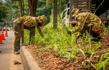 La recuperación de los jardines fue una de las tareas urgentes de la administración de Federico Gutiérrez. Foto: Cortesía