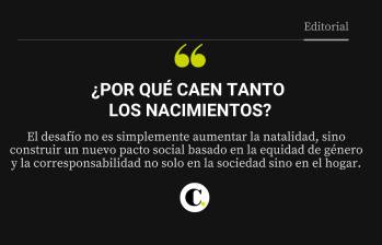 ¿Por qué caen tanto los nacimientos?
