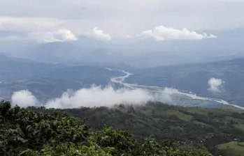 Vista panorámica de una finca cafetera en Fredonia, municipio en el que la Appa ya abarca el 44% de su extensión territorial. FOTO: Carlos Velásquez. Archivo El Colombiano