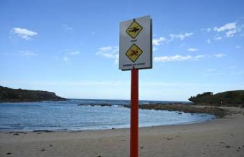 Según las autoridades, las personas que han muerto en esa playa fueron atacados mientras nadaban o surfeaban, actividades que están prohibidas en el lugar. FOTO: AFP