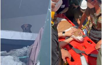 Tras el terremoto de magnitud 7.4 que afectó al centro y occidente del país, Kiara quedó acorralada en el quinto piso de un edificio a punto de colapsar en Dosquebradas, Risaralda. Mientras que Renata sobrevivió a la caída de su hogar en Cali. FOTO: Captura de video de redes sociales @MelyMunera y @JohaFuentes