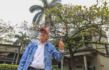 Mauricio Jaramillo Vásquez ingeniero forestal e historiador de los árboles de Medellín. Foto: Esneyder Gutiérrez