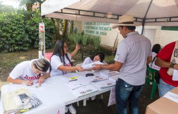  Más de 560.000 familias cafeteras podrán elegir a sus representantes mediante voto electrónico o presencial durante las elecciones gremiales de 2026. FOTO 