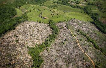 El Parque del Paramillo es la décima área protegida más grande del país. FOTO: CORTESÍA