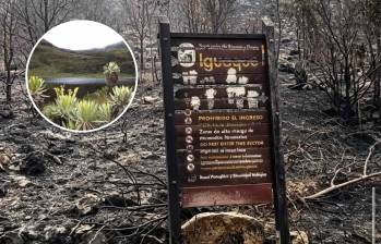 El santuario ya presenta daños significativos. Foto: Captura de video/Parques Nacionales.
