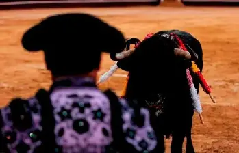 Algunos diputados aseguraron que no se puede justificar el sufrimiento animal por tradiciones culturales. FOTO: Colprensa