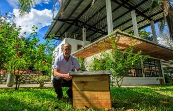 Hacienda Río Rayo ha reforestado 325 hectáreas degradadas por minería, ha creado 12.000 colmenas y genera 300 empleos en Tarazá. FOTO Camilo Suárez