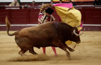 La prohibición de las corridas de toros no es de inmediato cumplimiento, iniciará un proceso de transición de tres años. En 2027 la tauromaquia estará oficialmente prohibida en el país. FOTO: Colprensa