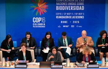 Delegados de más de 140 países participaron en la COP16 en Roma, donde se definieron acuerdos clave para el financiamiento y protección de la biodiversidad. FOTO AFP