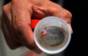 El mosquito que transmite la fiebre amarilla se cría en aguas estancadas. FOTO: Colprensa