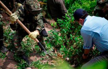 Según el ministro, la erradicación solo estará dirigida contra cultivos industriales, “no contra los campesinos pobres cultivadores de coca” .FOTO: COLPRENSA