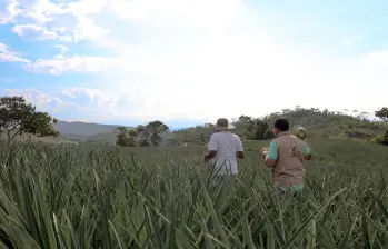 Colombia tiene más de tres décadas de retraso en el avalúo catastral, por eso este año empezaron nuevos cobros que desataron protestas en el país. Foto: Colprensa