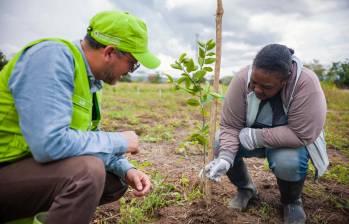 Uno de los casos de éxito es el del Banco Agrario, el cual ha venido promoviendo la conservación del medio ambiente a través de líneas de créditos verdes. FOTO CORTESÍA