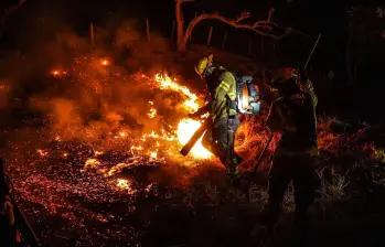 Incendios forestales en Suárez, Tolima. Al último corte oficial, siete incendios permanecían activos en el departamento. Foto: Bomberos Bogotá