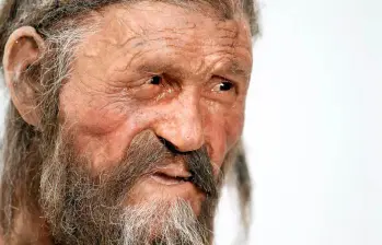 Según investigaciones recientes, así habría sido el rostro de Ötzi, un hombre asesinado hace más de cinco mil años. Foto AFP.
