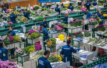 Colombia cerró 2025 con 93 empresas exportadoras menos, ¿qué pasó?