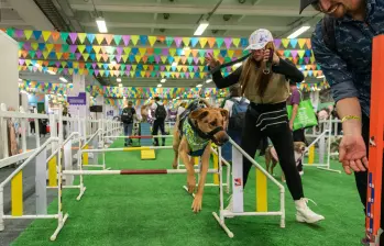 La primera edición de Expopet Medellín reunirá experiencias, formación y entretenimiento para tutores y animales de compañía. FOTO cortesía Corferias