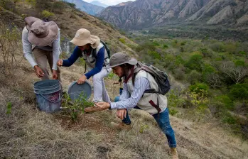 La inversión ambiental de las empresas colombianas alcanzó cerca de $10 billones en 2025 y superó por primera vez a la inversión social, según el Índice de Inversión Social y Ambiental Empresarial (IISAE). FOTO EL COLOMBIANO