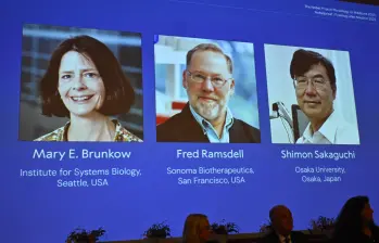 Mary E Brunkow, Fred Ramsdell y Shimon Sakaguchi fueron premiados con el Nobel de Medicina este lunes, 6 de octubre. FOTO: AFP
