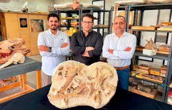 Los paleontólogos gipcios Hesham Sallam, Abdullah Gohar y Mohamed Sameh de pie ante fósiles holotipo de una especie recién descubierta por ellos, de un basilosáurido extinto, el Tutcetus rayanensis, y apodado Tutcetus rayanensis. Foto: AFP. 