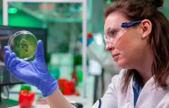 Gobierno habla de fortalecer AGROSAVIA, pero cifras muestran recorte de hasta 60% y alertan riesgos al patrimonio genético. FOTO: FREEPIK