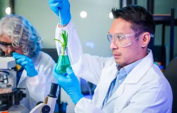 La base genética del agro depende de condiciones técnicas estrictas para su conservación. FOTO GETTY
