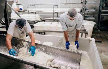 Invima sancionó a trece plantas de leche por utilizar lactosueros. FOTO: Shutter Stock