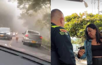 Candy fue hallada en una finca en buen estado y bajo el cuidado de su tutora. FOTO: captura de video