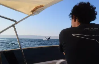 Alrededor de seis meses del año, Esteban se la pasa navegando por el mundo, aprendiendo y enseñando sobre la vida en las profundidades oceánicas.. FOTO Archivo personal Esteban Duque