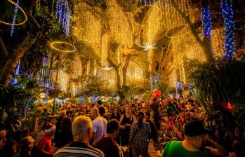 La Navidad es un tiempo de esperanza y amor que une corazones y celebra la magia de estar juntos. FOTOS EL Colombiano