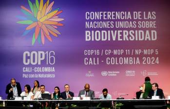 En la Zona Azul se llevó a cabo la Conferencia de las Naciones Unidas sobre la biodiversidad, una de los tantos eventos programados en la COP16. FOTO Colprensa