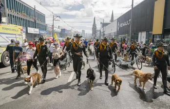 Caminata Canina de Tierragro. Foto: Cortesía.