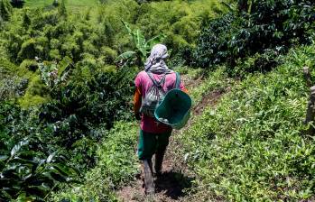 Durante los últimos 34 años, la población en el campo antioqueño se ha reducido en un 6%. FOTO: Julio César Herrera