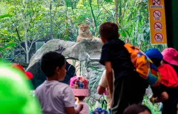 El Parque de la Conservación es uno de los lugares que tendrá programación especial durante las vacaciones. FOTO: Camilo Suárez