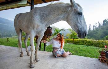 A partir de un experimento sencillo los investigadores descubrieron las formas de pensar de los caballos. Foto: EL COLOMBIANO.