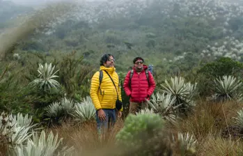 Mateo Hernández y Andrés Cepeda en este documental que se podrá ver este fin de semana en todo el país. FOTO: Cortesía Caracol TV Mario Acevedo