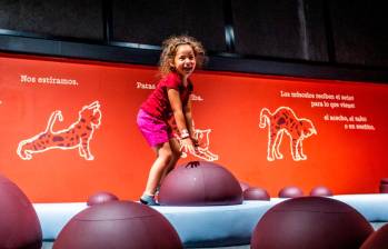 Perros & Gatos, una exposición en el Parque Explora para jugar y aprender a querer mejor