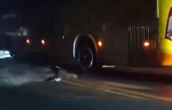 Bus chocó contra varios animales dejando dos muertos y uno herido en Urabá. FOTO: Cortesía Redes sociales