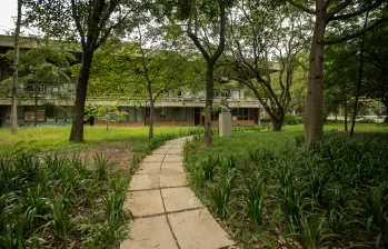 El campus de la UdeA se transforma en un laboratorio vivo para el estudio de la ecología urbana. FOTO: Camilo Suárez