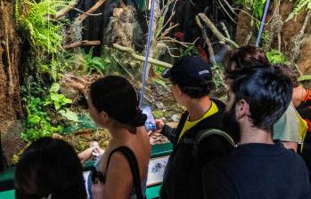 La Administración Distrital destinó un presupuesto de $5.300 millones de pesos para la estrategia de Formación de Públicos el primer semestre de este año. Foto: Julio Herrera. 