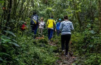 Las autoridades reiteran la importancia de hacer senderismo seguro. FOTO: Andrés Camilo Suárez Echeverry