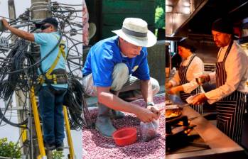 El informe de Anthropic muestra que muchos trabajos manuales tienen menor exposición a la inteligencia artificial que los empleos digitales de oficina. FOTOS: EL COLOMBIANO 