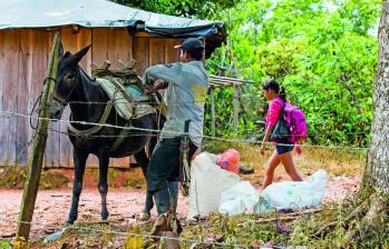 Las confrontaciones entre Clan del Golfo y grupos guerrilleros ha provocado los desplazamientos en los últimos días en el Norte y Bajo Cauca. FOTO JULIO CÉSAR HERRERA