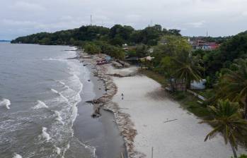 Las playas de Urabá han sido foco de atención en los últimos años por el incremento de la erosión costera y a la llegada de sedimentos y material arbóreo que dejan las talas en la selva chocoana, lo cual deteriora el paisaje y el ecosistema. FOTO Manuel Saldarriaga