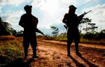 El Cañón del Micay se considera el “dolor de cabeza” de la ‘paz total’ del Gobierno Petro. Foto: Archivo