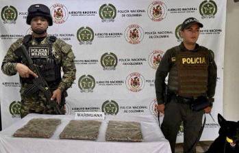 Incautación de marihuana en Antioquia. Foto: cortesía Séptima División del Ejército Nacional